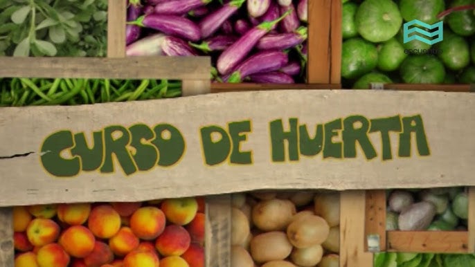 Huertas comunitarias impulsan soberanía alimentaria